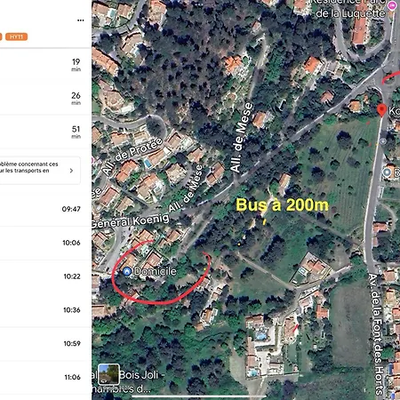 Lou Gecko Casa de Férias